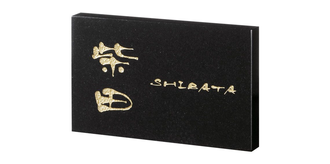 一流の品質 福彫 表札 スタイルプラス 黒ミカゲ FS6-203